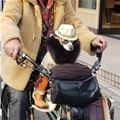 Bike Ride With Daddy