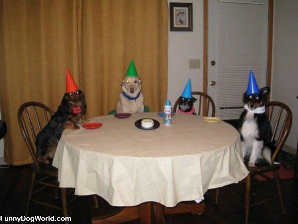 Birthday Party