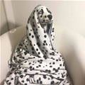 Blanket Boy