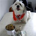 Bone Dealer