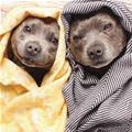 Both Chilling