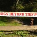 Breaking The Law