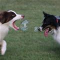 Bubbbbbles
