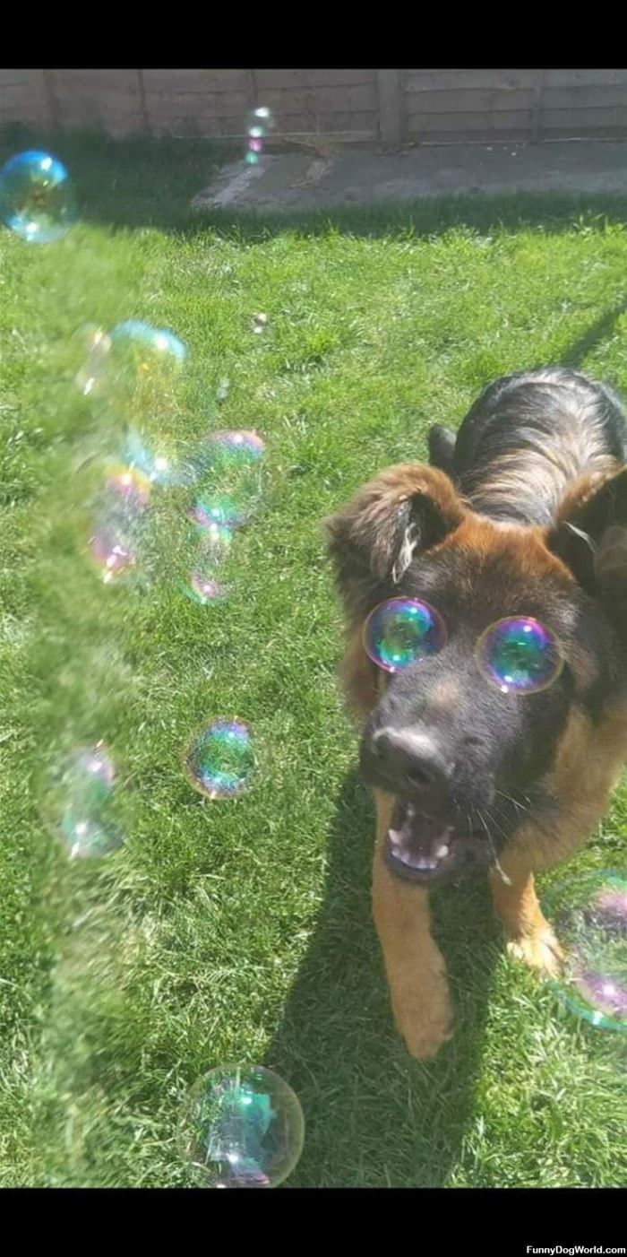 Bubble Eyes