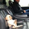 Buckle Up