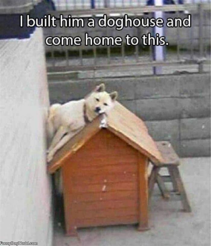 Built Him A Dog House
