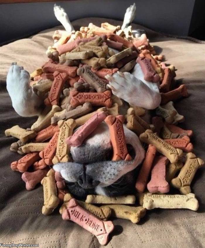 Buried In Bones