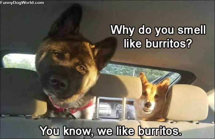 Burritos