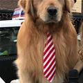 Business Time