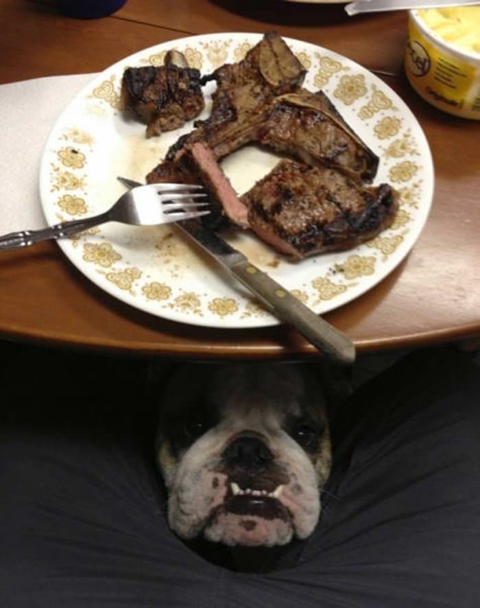 Can I Have A Piece Of Steak