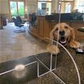 Can I Have Some Cash