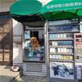 funny dog 1
