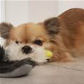 Can We Play Now Please