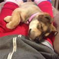 Cannot Bring Myself To Wake Her