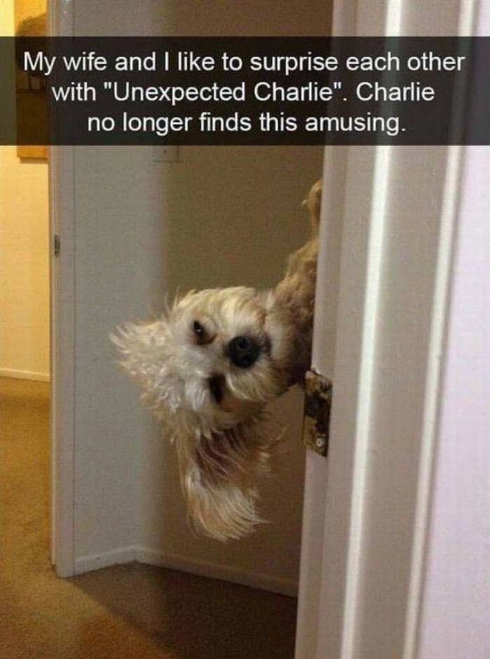 Charlie No Longer Finds This Fun