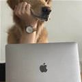 Checking Some Internets