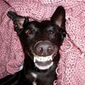 Cheeeeese