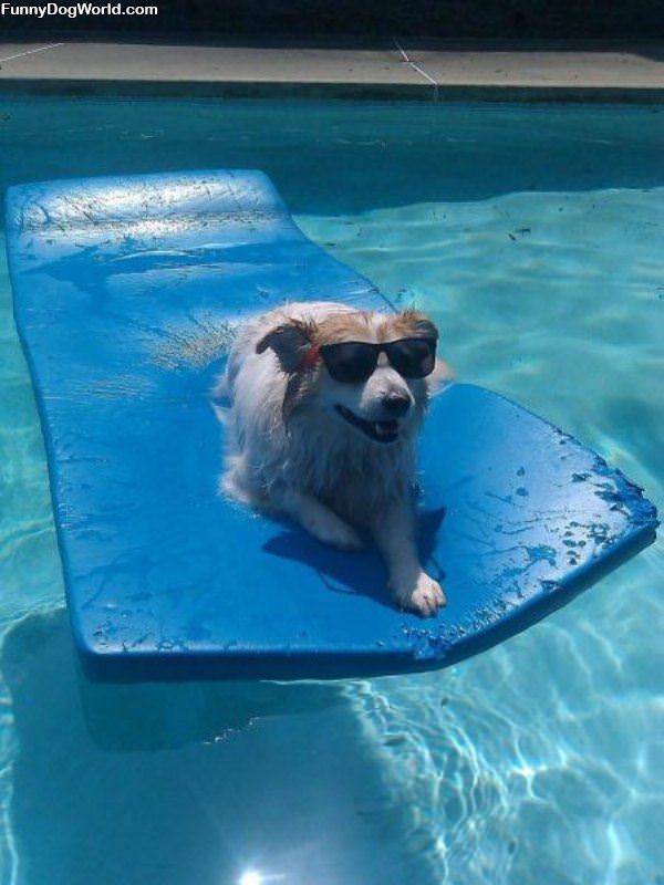 Chillin In The Pool