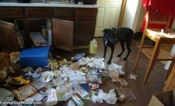 Cleaning The Kitchen