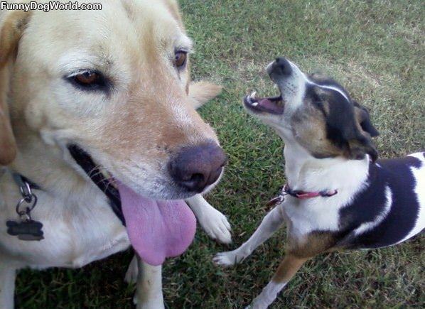 Cody And Abbey