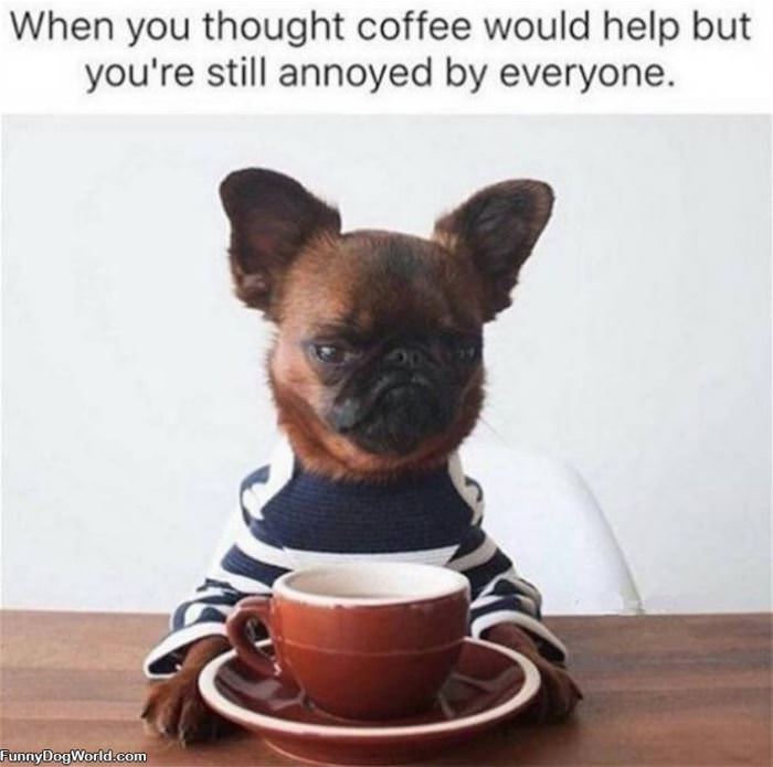 Coffee Might Help