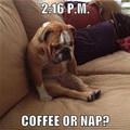 Coffee Or Nap