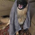 Come To The Dark Side