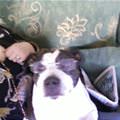 Cool Dude Shiloh