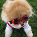 Cool Hair And Glasses