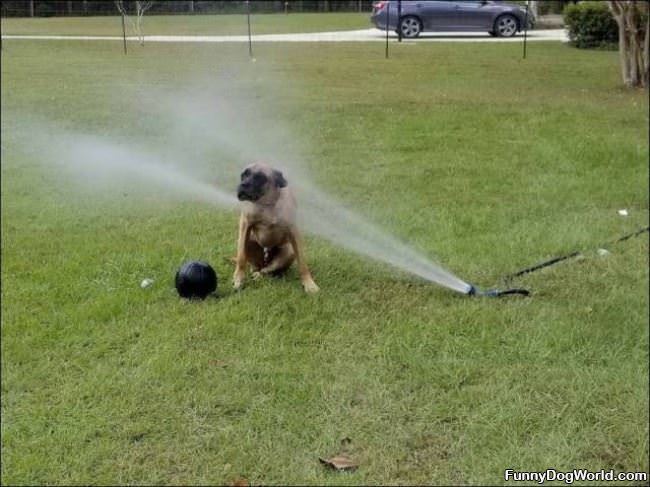 Cooling Down