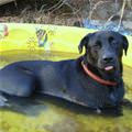 Cooling Off A Bit