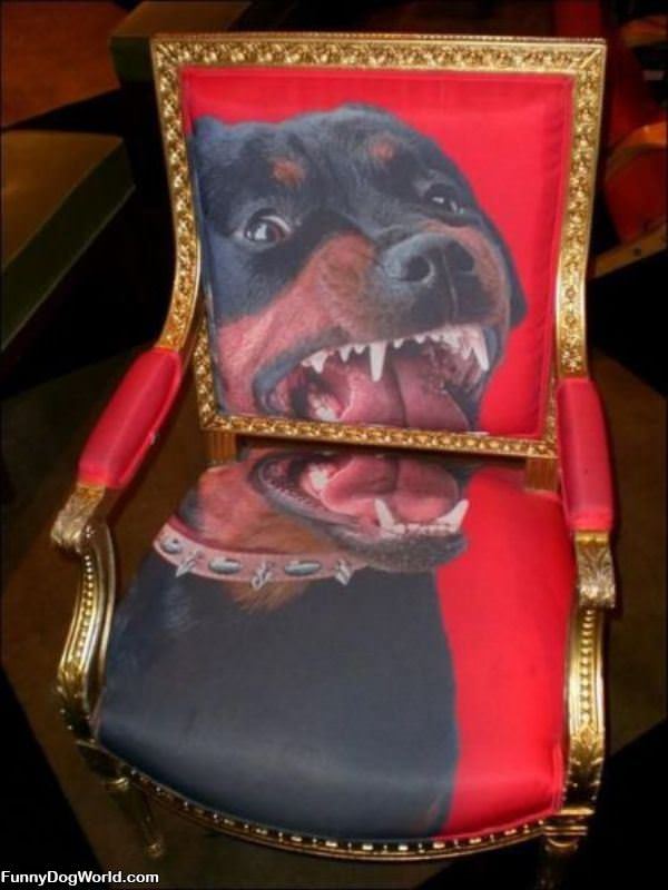 Crazy Dog Chair