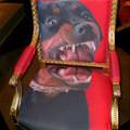 Crazy Dog Chair