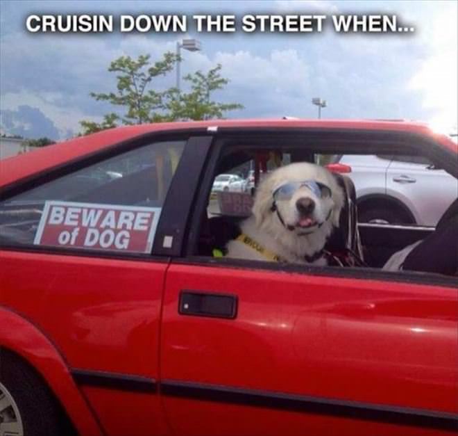 Cruisin Down The Street