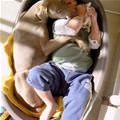 Cuddle