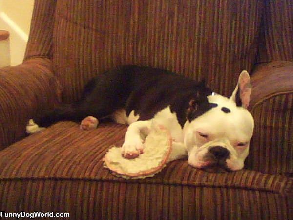 Cuddling His Toy