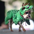 funny dog 5