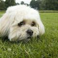 Cute Little Face