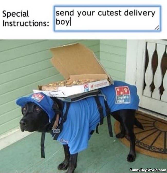 Cutest Delivery Boy