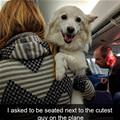 Cutest Guy On The Plane