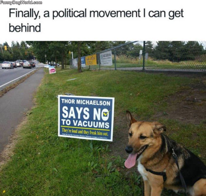 Cutest Political Movement