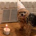 Daily_picdump_3383_640_high_67.jpghappy