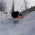 Dashing Through The Snow