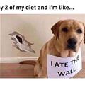 Day 2 Of My Diet