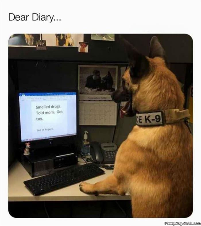 Dear Diary