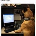 Dear Diary