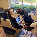 Dental Assistant