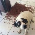 Did I Do That