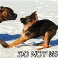 Do Not Want