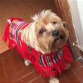 Do You Like My Outfit